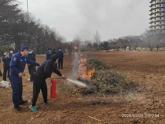 说明: 图片